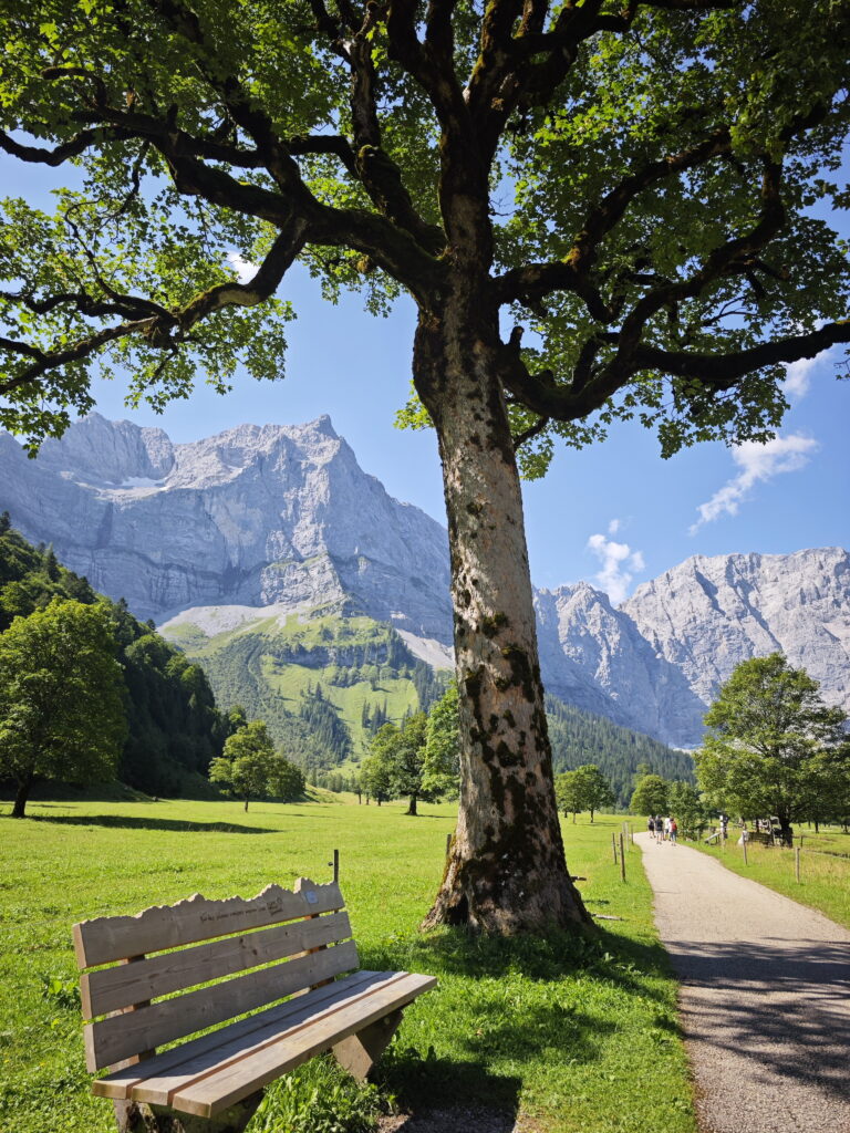 Der Ahornboden im Sommer