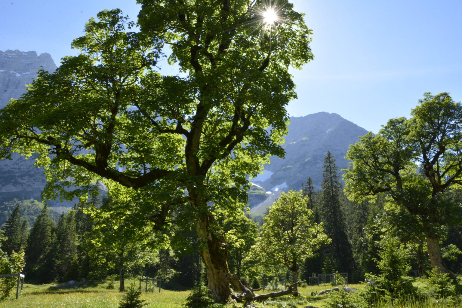 AHORNBODEN Eng ⭐ Schönster Platz In Tirol, Karwendel